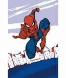 Dětský ručník Spider Man Super Hero 30/50 | 30/50